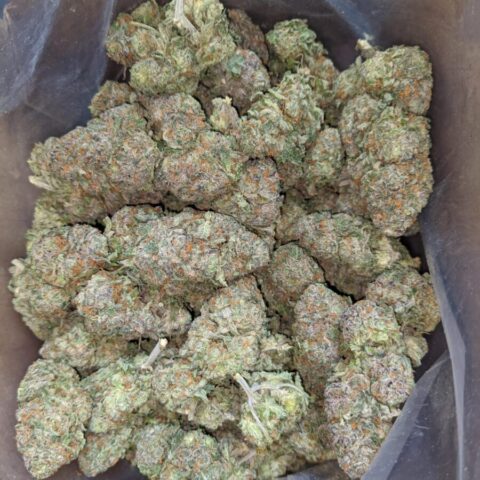 Packman Berry Payton Strain